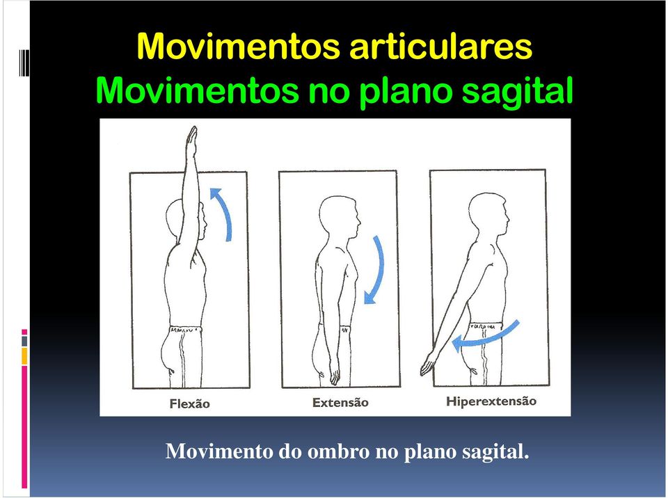 sagital Movimento do