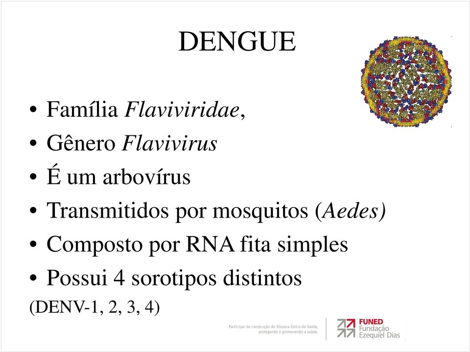 mosquitos (Aedes) Composto por RNA fita