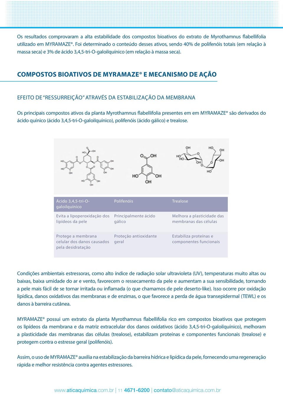 COMPOSTOS BIOATIVOS DE MYRAMAZE E MECANISMO DE AÇÃO Efeito de ressurreição através da estabilização da membrana Os principais compostos ativos da planta Myrothamnus flabellifolia presentes em em