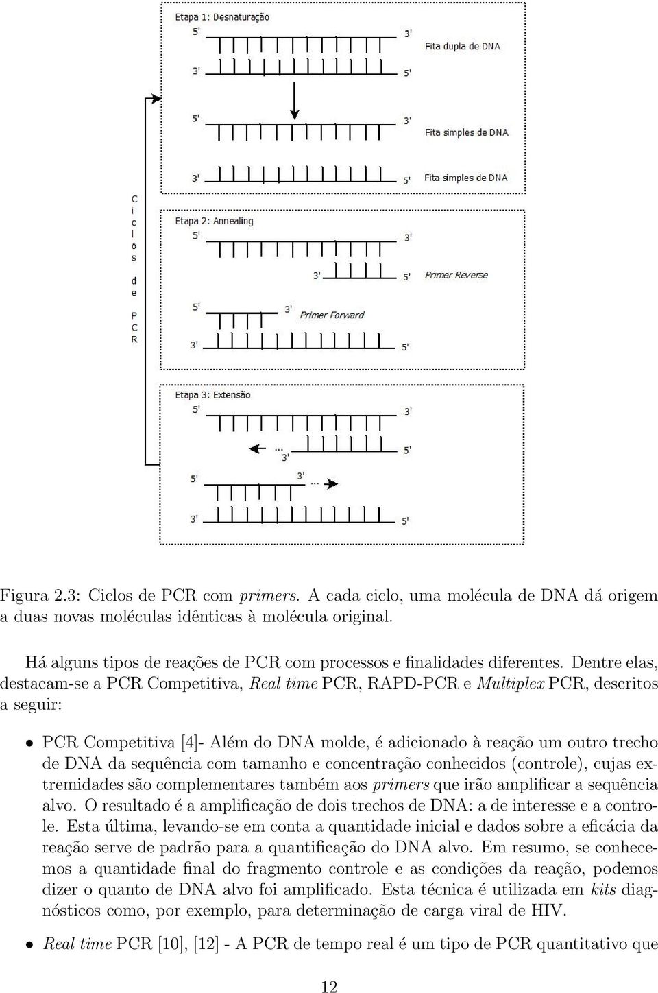 Dentre elas, destacam-se a PCR Competitiva, Real time PCR, RAPD-PCR e Multiplex PCR, descritos a seguir: PCR Competitiva [4]- Além do DNA molde, é adicionado à reação um outro trecho de DNA da