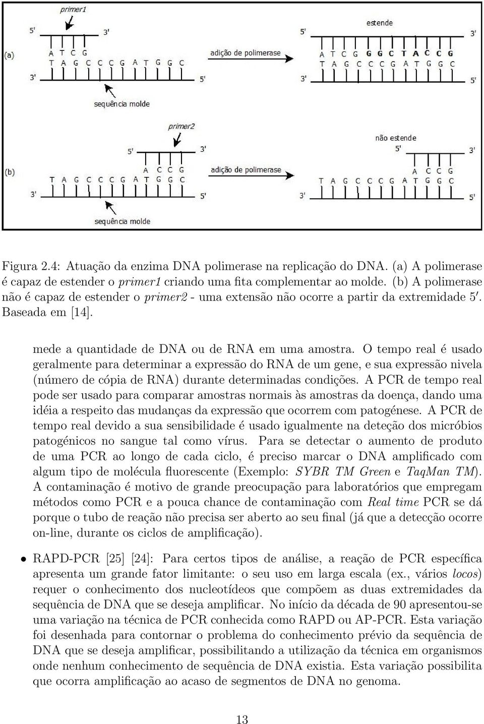 O tempo real é usado geralmente para determinar a expressão do RNA de um gene, e sua expressão nivela (número de cópia de RNA) durante determinadas condições.