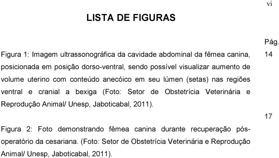 (Foto: Setor de Obstetrícia Veterinária e Reprodução Animal/ Unesp, Jaboticabal, 2011).