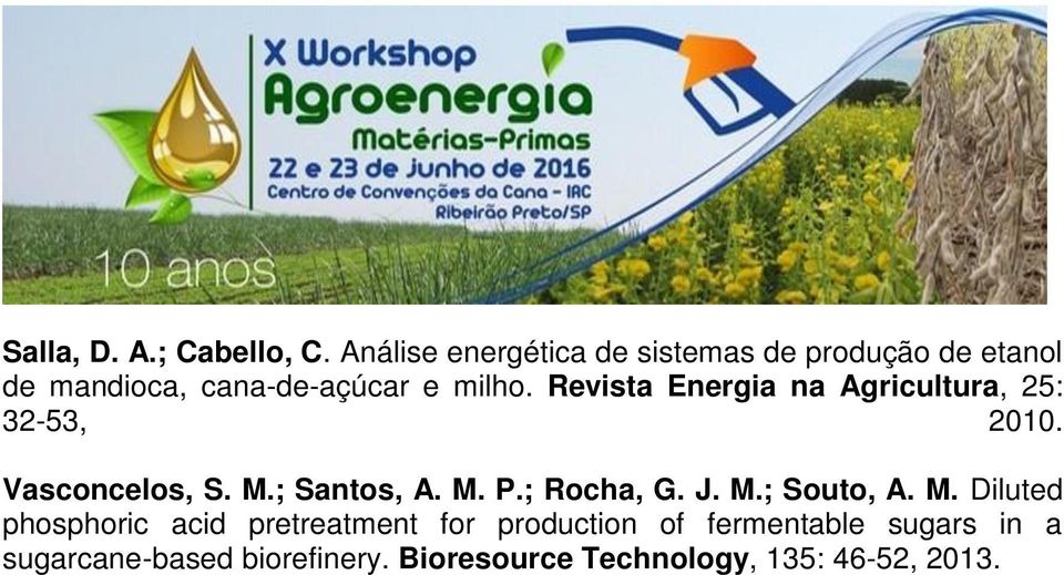 Revista Energia na Agricultura, 25: 32-53, 2010. Vasconcelos, S. M.; Santos, A. M. P.; Rocha, G.
