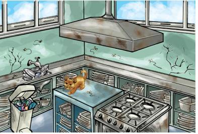 - Atenção com a manipulação Ambiente Higiene: cozinha, utensílios,