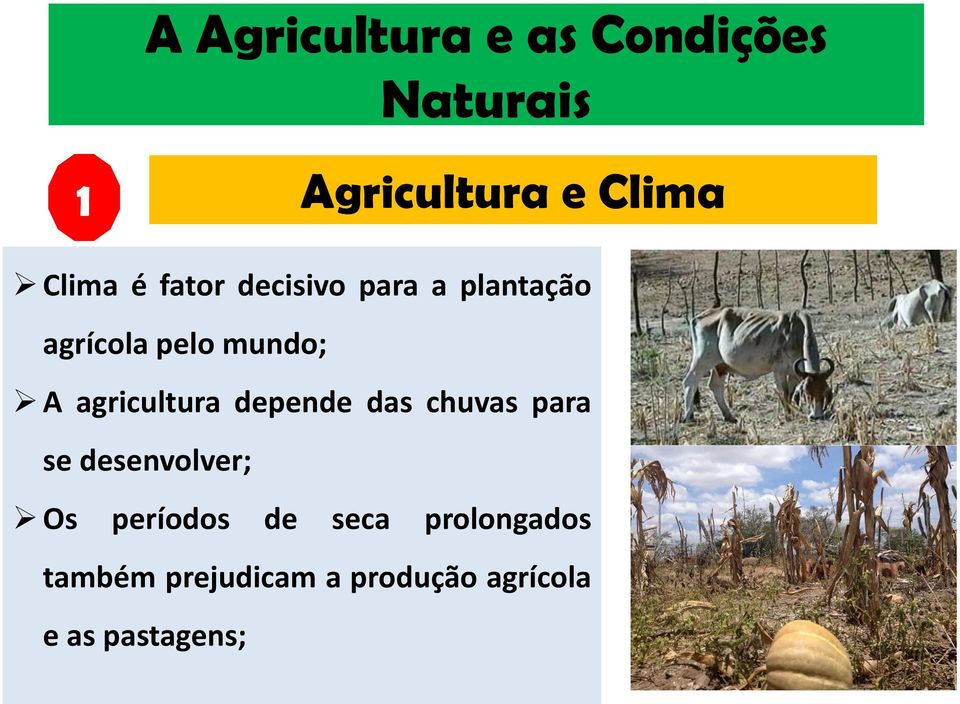 agricultura depende das chuvas para se desenvolver; Os períodos