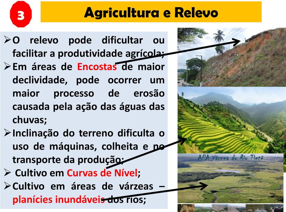 águas das chuvas; Inclinação do terreno dificulta o uso de máquinas, colheita e no transporte da