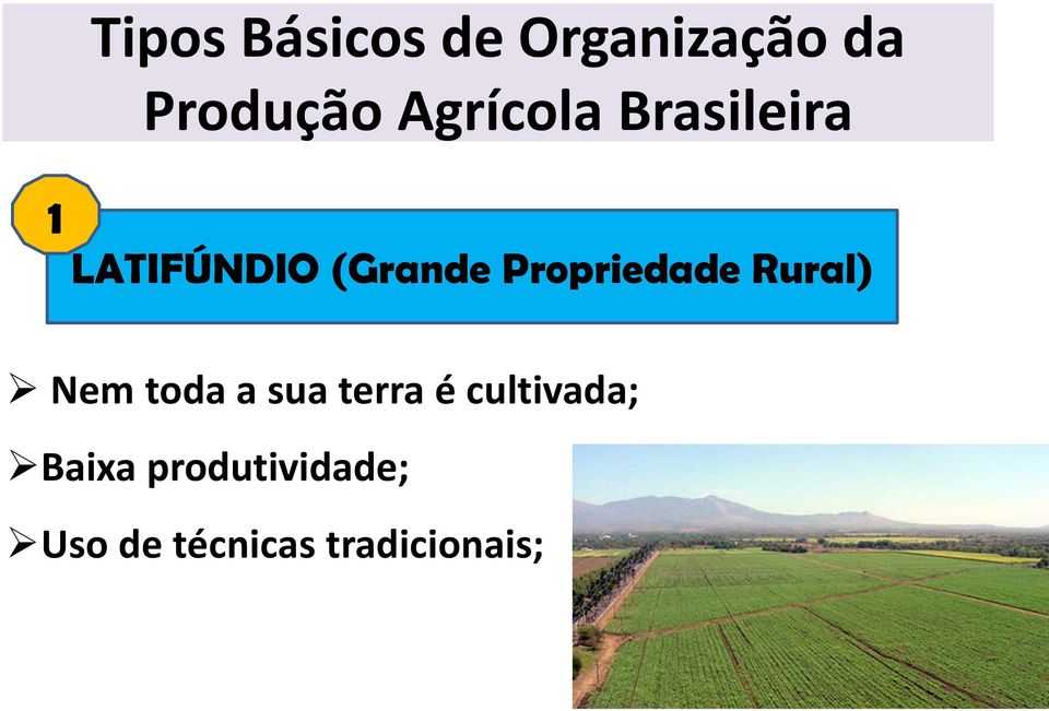 Propriedade Rural) Nem toda a sua terra é