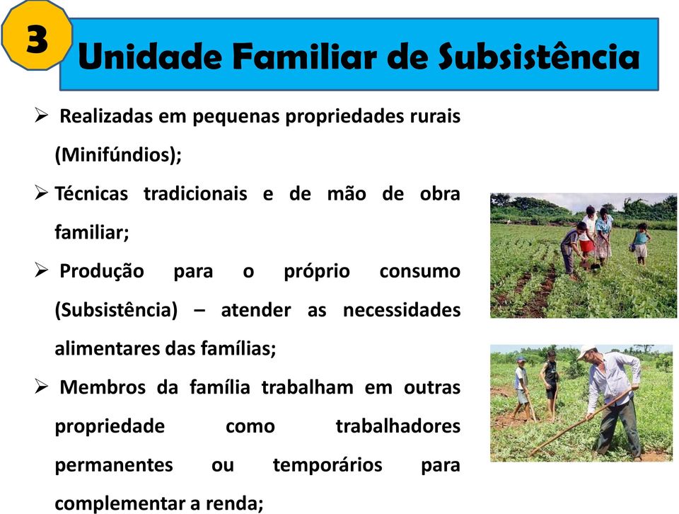 Produção para o próprio consumo (Subsistência) atender as necessidades alimentares das