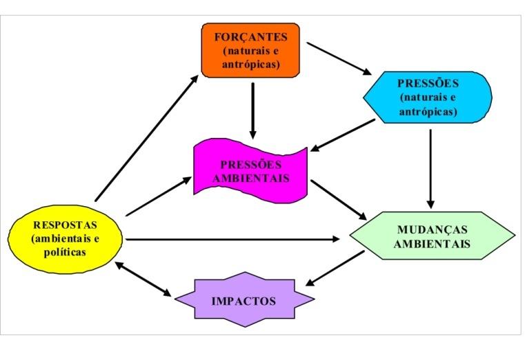 RESPOSTAS AMBIENTAIS (Consequências) Modificações morfológicas na praia (redução da largura e aumento da declividade) Perda e desequilíbrio da pós-praia e de outros hábitats naturais (dunas,