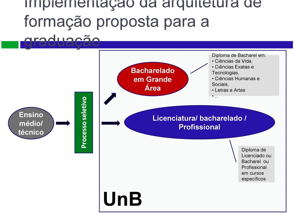 Ciências Humanas e Sociais, Letras e Artes Ensino médio/ técnico Licenciatura/