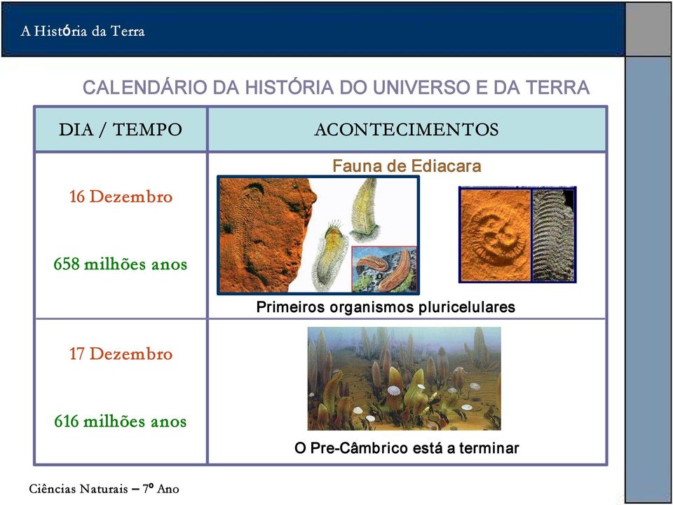 pluricelulares 17 Dezembro 616