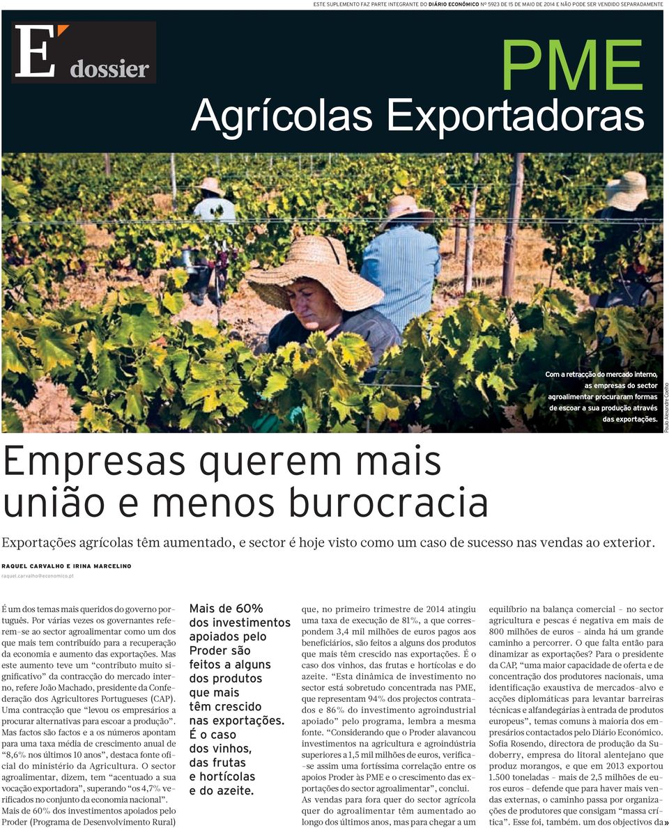 Paulo Alexandre Coelho Empresas querem mais união e menos burocracia Exportações agrícolas têm aumentado, e sector é hoje visto como um caso de sucesso nas vendas ao exterior.