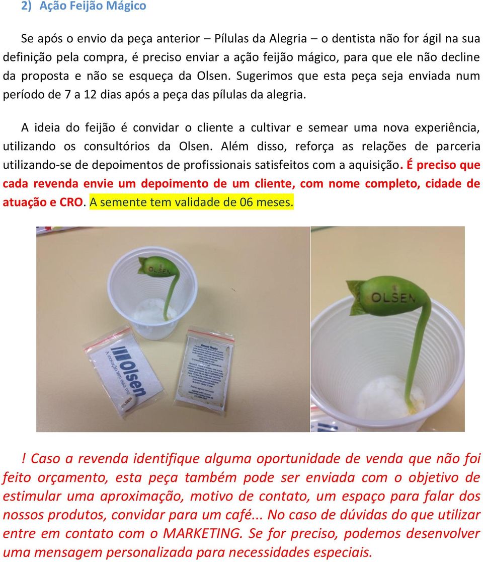 A ideia do feijão é convidar o cliente a cultivar e semear uma nova experiência, utilizando os consultórios da Olsen.