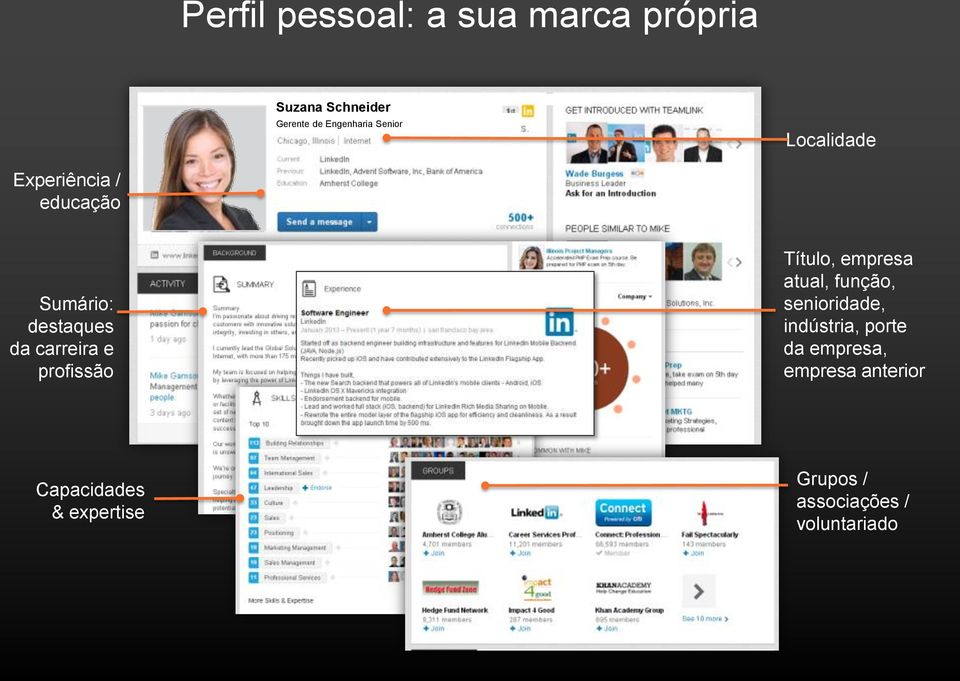 profissão Título, empresa atual, função, senioridade, indústria, porte da