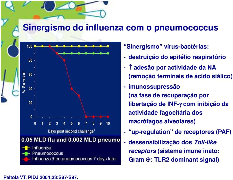 INF-γ com inibição da actividade fagocitária dos macrófagos alveolares) - up-regulation de receptores (PAF) -