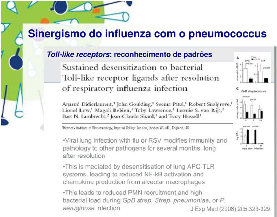 pneumococcus Toll-like