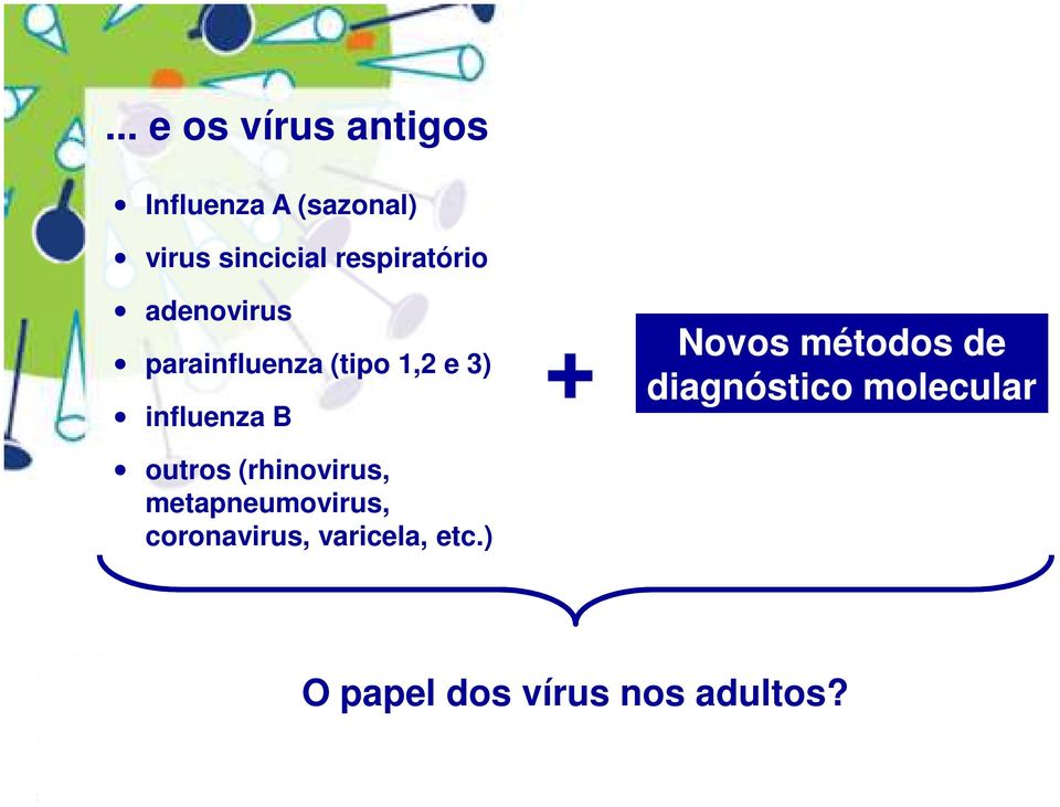 outros (rhinovirus, metapneumovirus, coronavirus, varicela, etc.