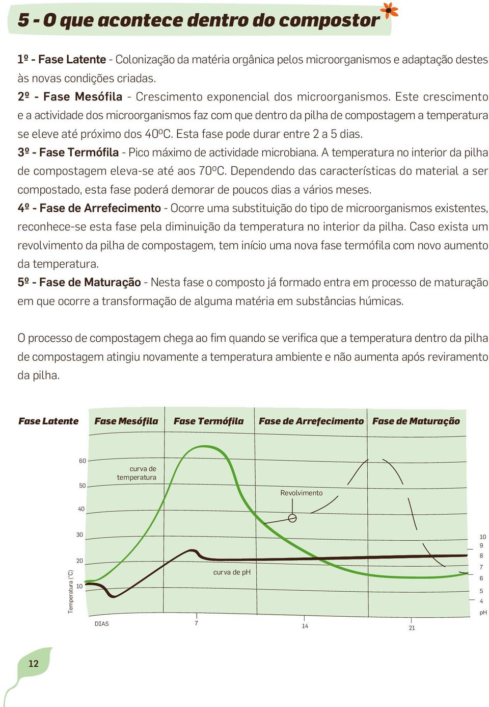 Este crescimento e a actividade dos microorganismos faz com que dentro da pilha de compostagem a temperatura se eleve até próximo dos 40 o C. Esta fase pode durar entre 2 a 5 dias.