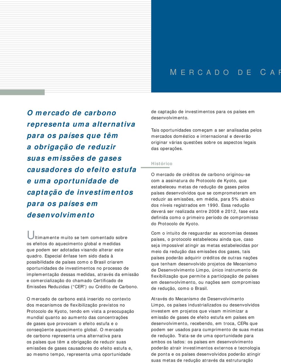 Especial ênfase tem sido dada à possibilidade de países como o Brasil criarem oportunidades de investimentos no processo de implementação dessas medidas, através da emissão e comercialização do