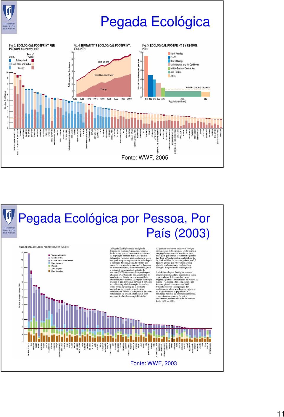 (2003) Fonte: WWF,