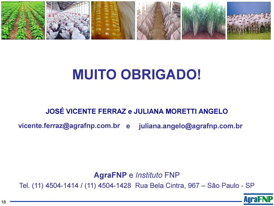 ferraz@agrafnp.com.br e juliana.angelo@agrafnp.com.br AgraFNP e Instituto FNP Tel.