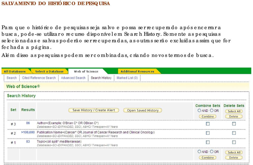 Somente as pesquisas selecionadas e salvas poderão ser recuperadas, as outras serão excluídas