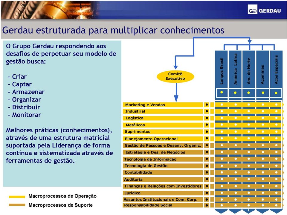 Organizar - Distribuir - Monitorar Marketing e Vendas Industrial Logística Comitê Executivo Longos Brasil América Latina Am.