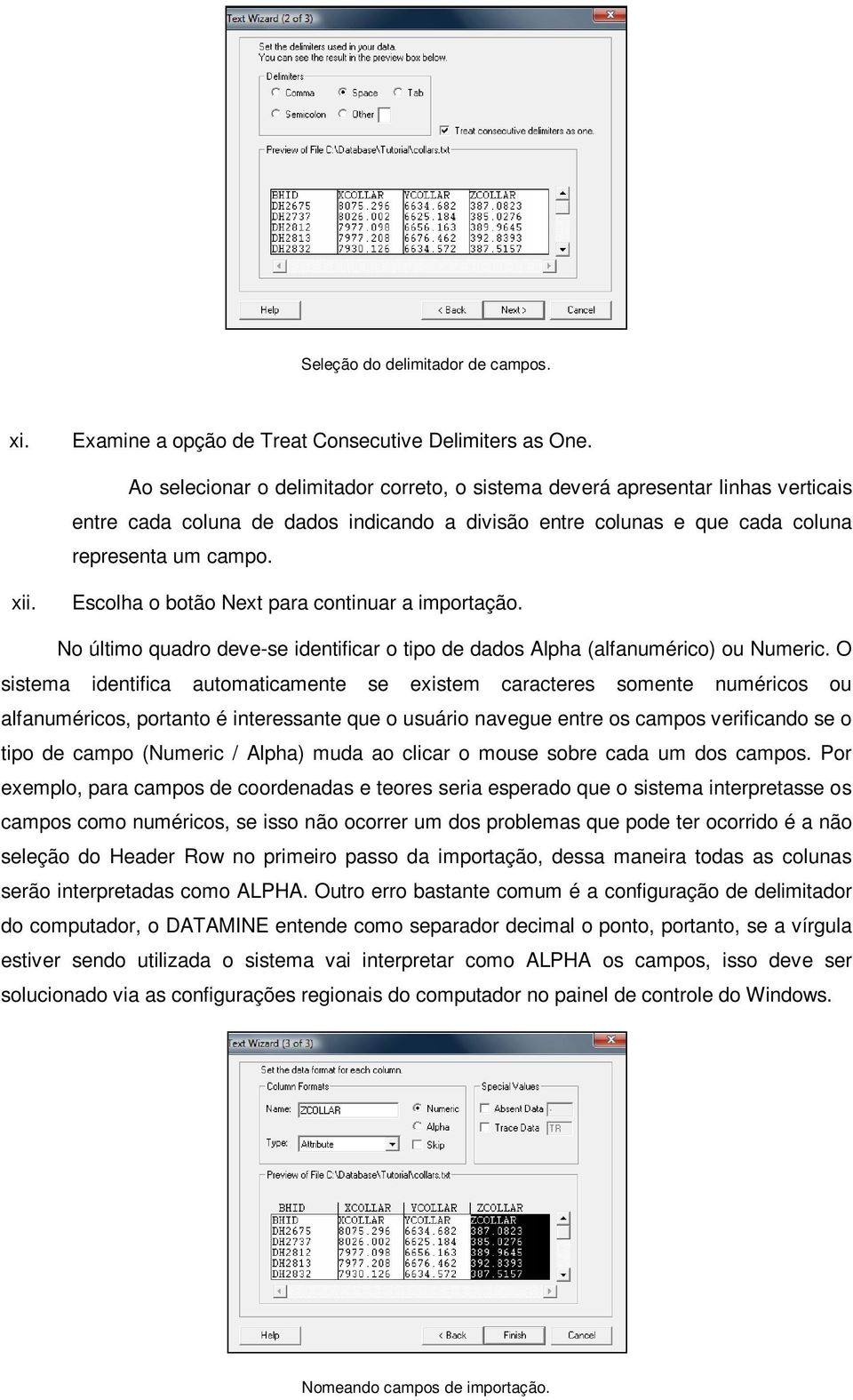 Escolha o botão Next para continuar a importação. No último quadro deve-se identificar o tipo de dados Alpha (alfanumérico) ou Numeric.