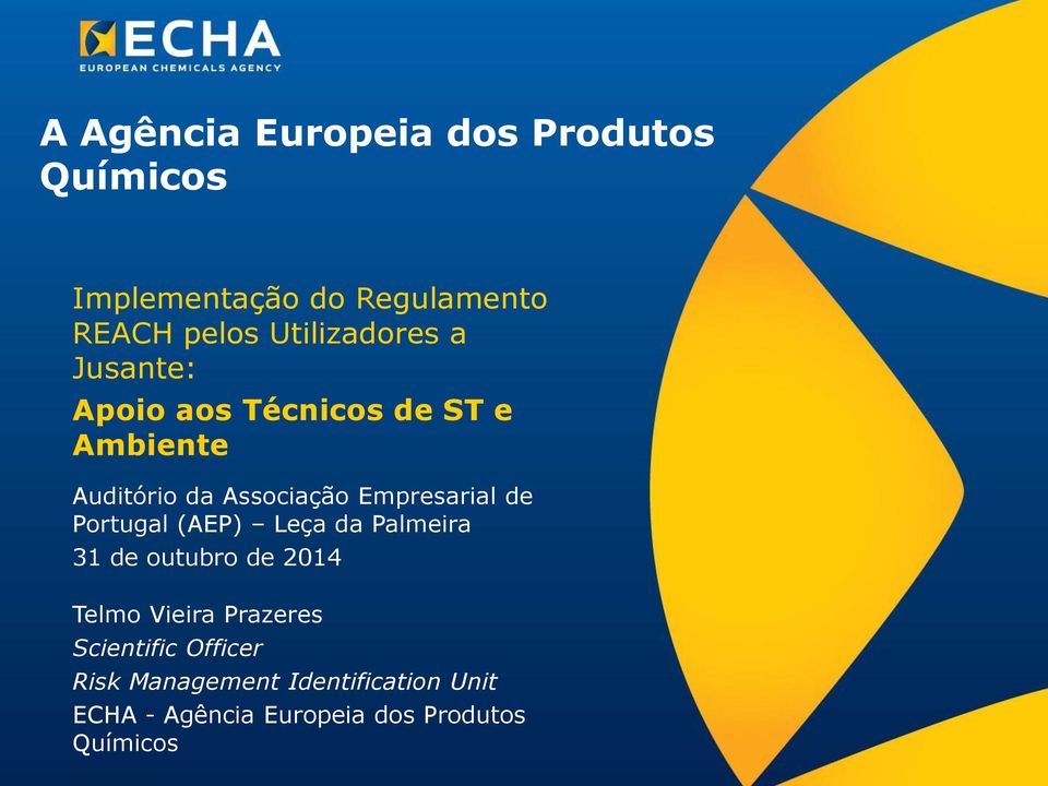 Empresarial de Portugal (AEP) Leça da Palmeira 31 de outubro de 2014 Telmo Vieira