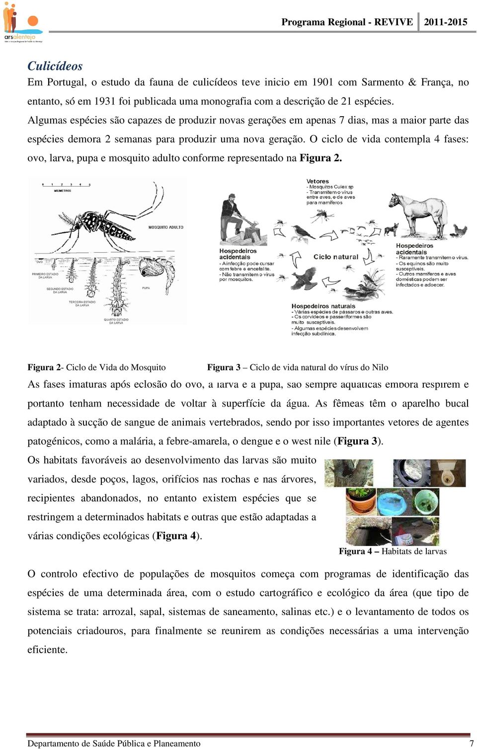 O ciclo de vida contempla 4 fases: ovo, larva, pupa e mosquito adulto conforme representado na Figura 2.