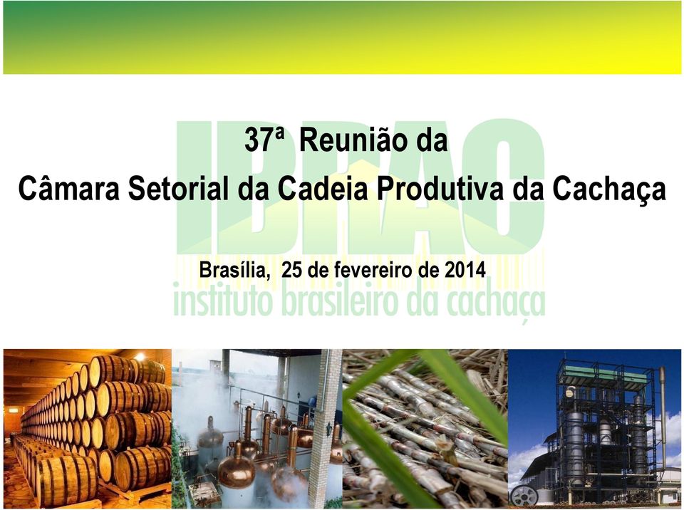 Produtiva da Cachaça