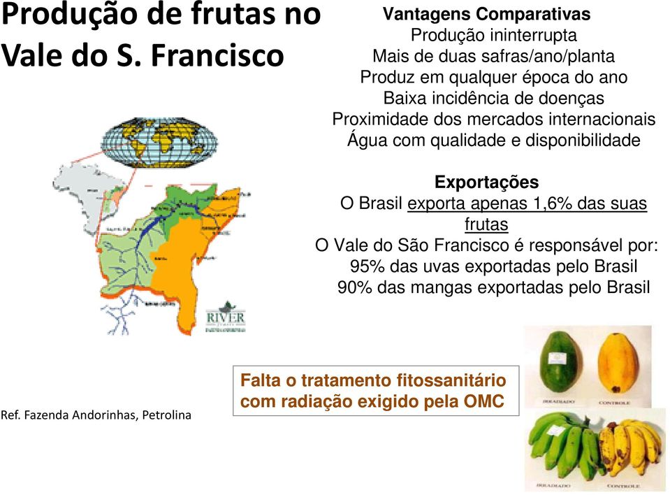 incidência de doenças Proximidade dos mercados internacionais Água com qualidade e disponibilidade Exportações O Brasil exporta