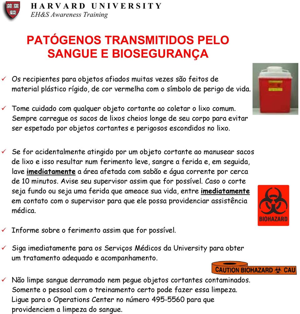 Sempre carregue os sacos de lixos cheios longe de seu corpo para evitar ser espetado por objetos cortantes e perigosos escondidos no lixo.