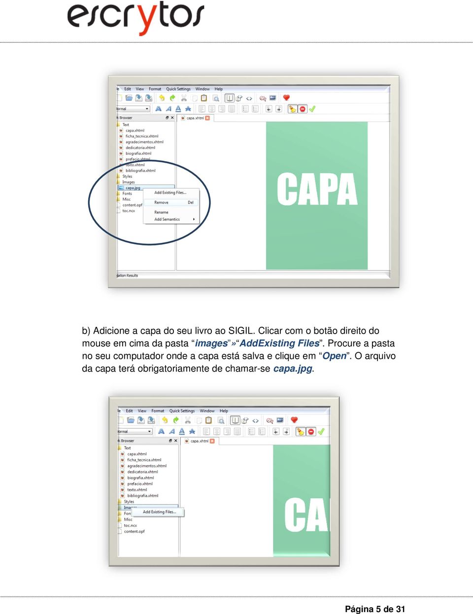 AddExisting Files.