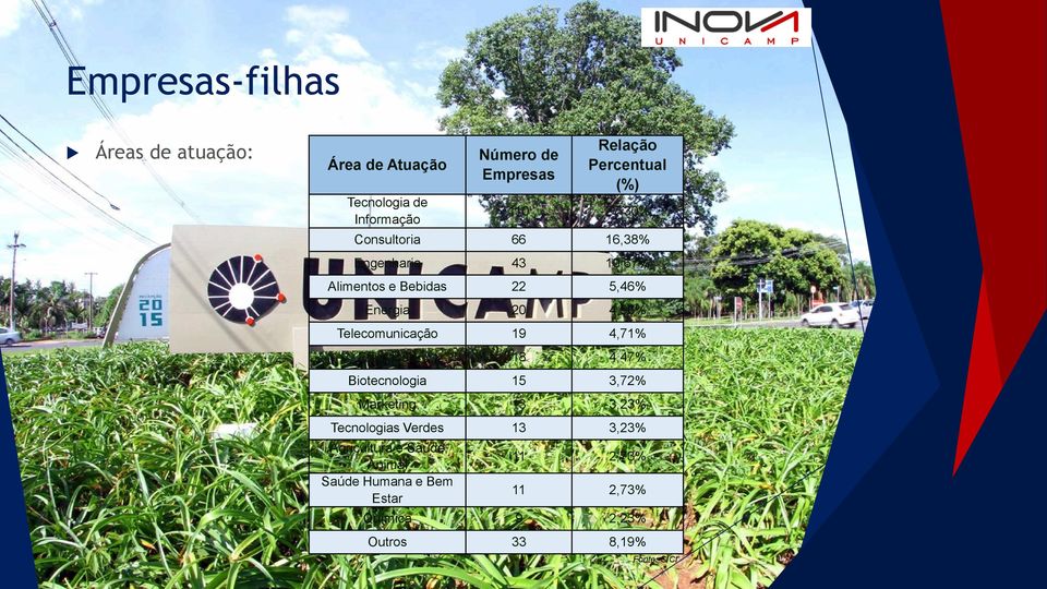 4,96% Telecomunicação 19 4,71% Educação 18 4,47% Biotecnologia 15 3,72% Marketing 13 3,23% Tecnologias Verdes