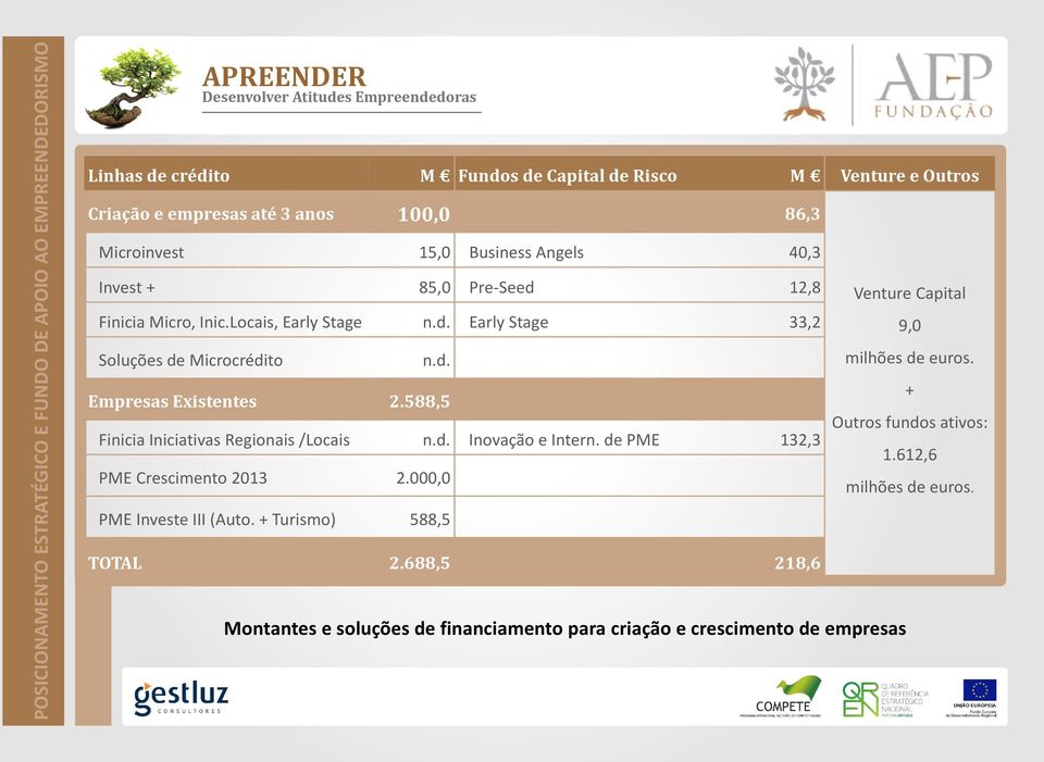 588,5 Finicia Iniciativas Regionais /Locais n.d. Inovação e Intern. de PME 132,3 PME Crescimento 2013 2.000,0 PME Investe III (Auto.