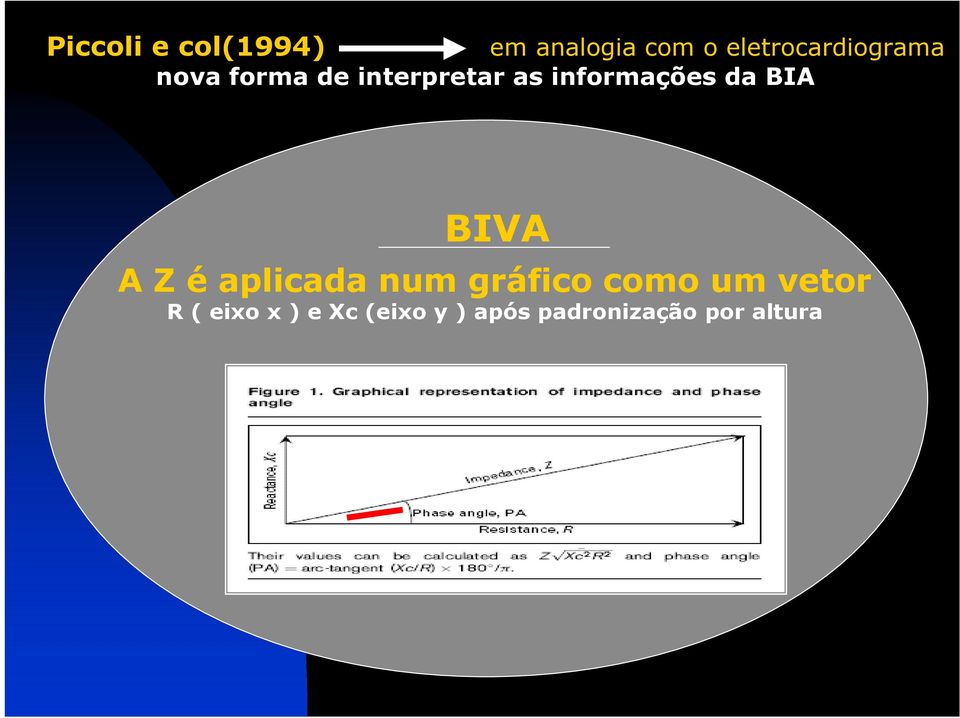 informações da BIA BIVA A Z é aplicada num gráfico