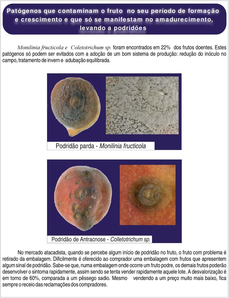 Podridão parda - Monilinia fructicola Podridão de Antracnose - Colletotrichum sp.