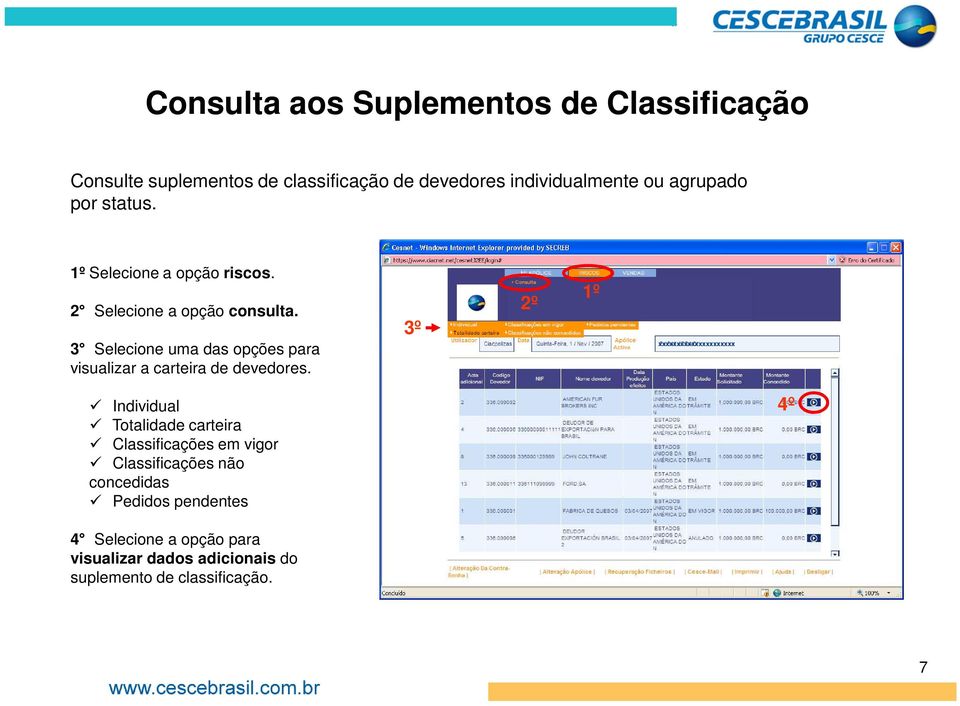 3 Selecione uma das opções para visualizar a carteira de devedores.