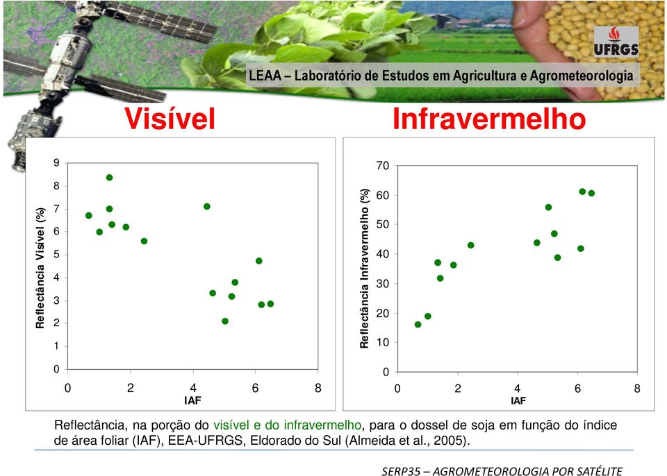 Reflectância, na porção do visível e do infravermelho, para o dossel de soja em