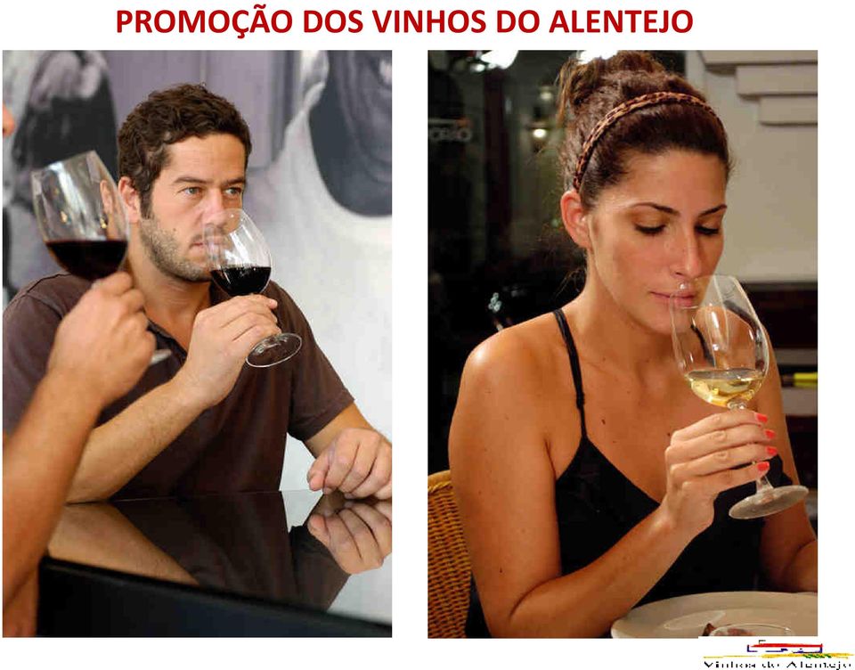 VINHOS DO