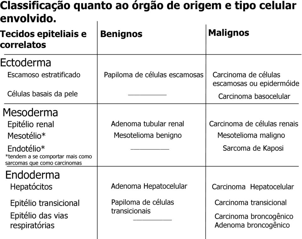 que como carcinomas Endoderma Hepatócitos Benignos Papiloma de células escamosas Adenoma tubular renal Mesotelioma benigno Adenoma Hepatocelular Malignos Carcinoma de células