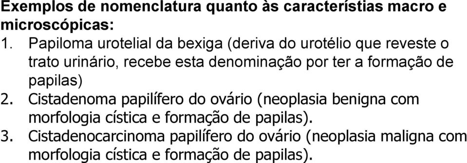 por ter a formação de papilas) 2.