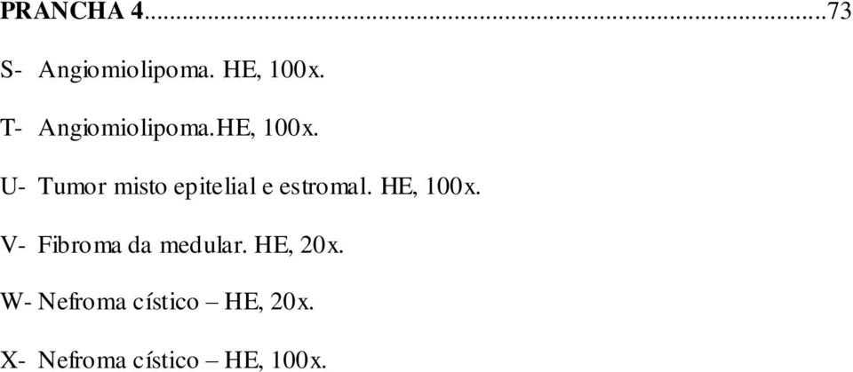 U- Tumor misto epitelial e estromal. HE, 100x.