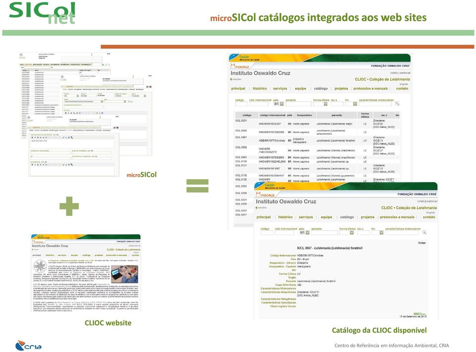 microsicol CLIOC website