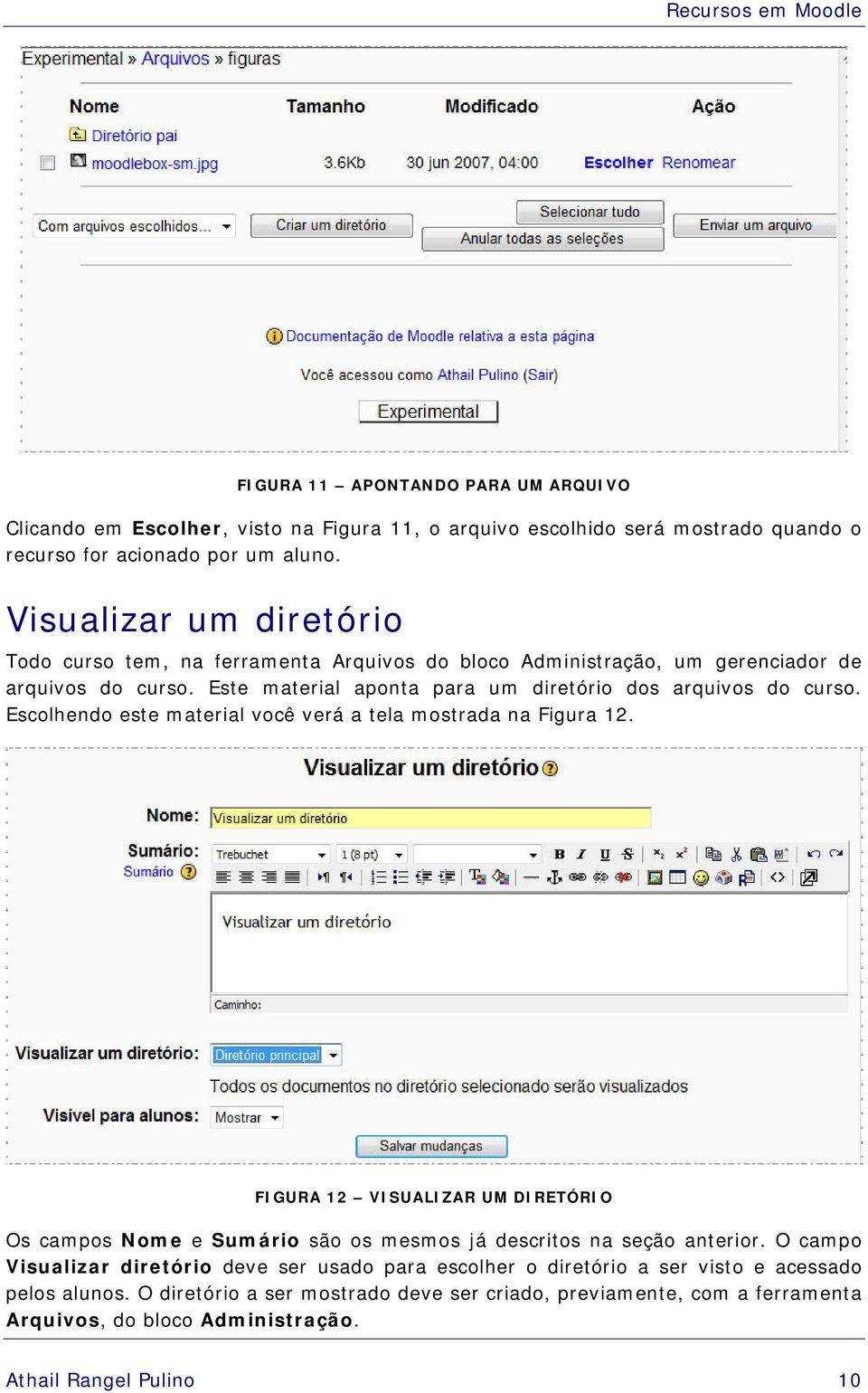 Escolhendo este material você verá a tela mostrada na Figura 12. FIGURA 12 VISUALIZAR UM DIRETÓRIO Os campos Nome e Sumário são os mesmos já descritos na seção anterior.