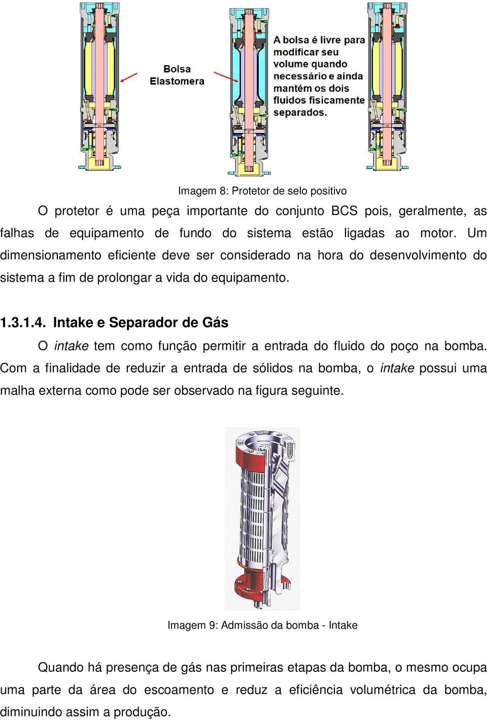 Intake e Separador de Gás O intake tem como função permitir a entrada do fluido do poço na bomba.