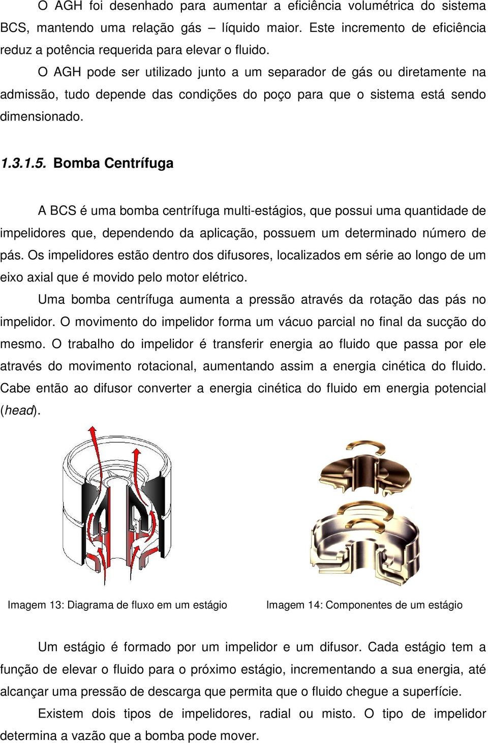 Bomba Centrífuga A BCS é uma bomba centrífuga multi-estágios, que possui uma quantidade de impelidores que, dependendo da aplicação, possuem um determinado número de pás.