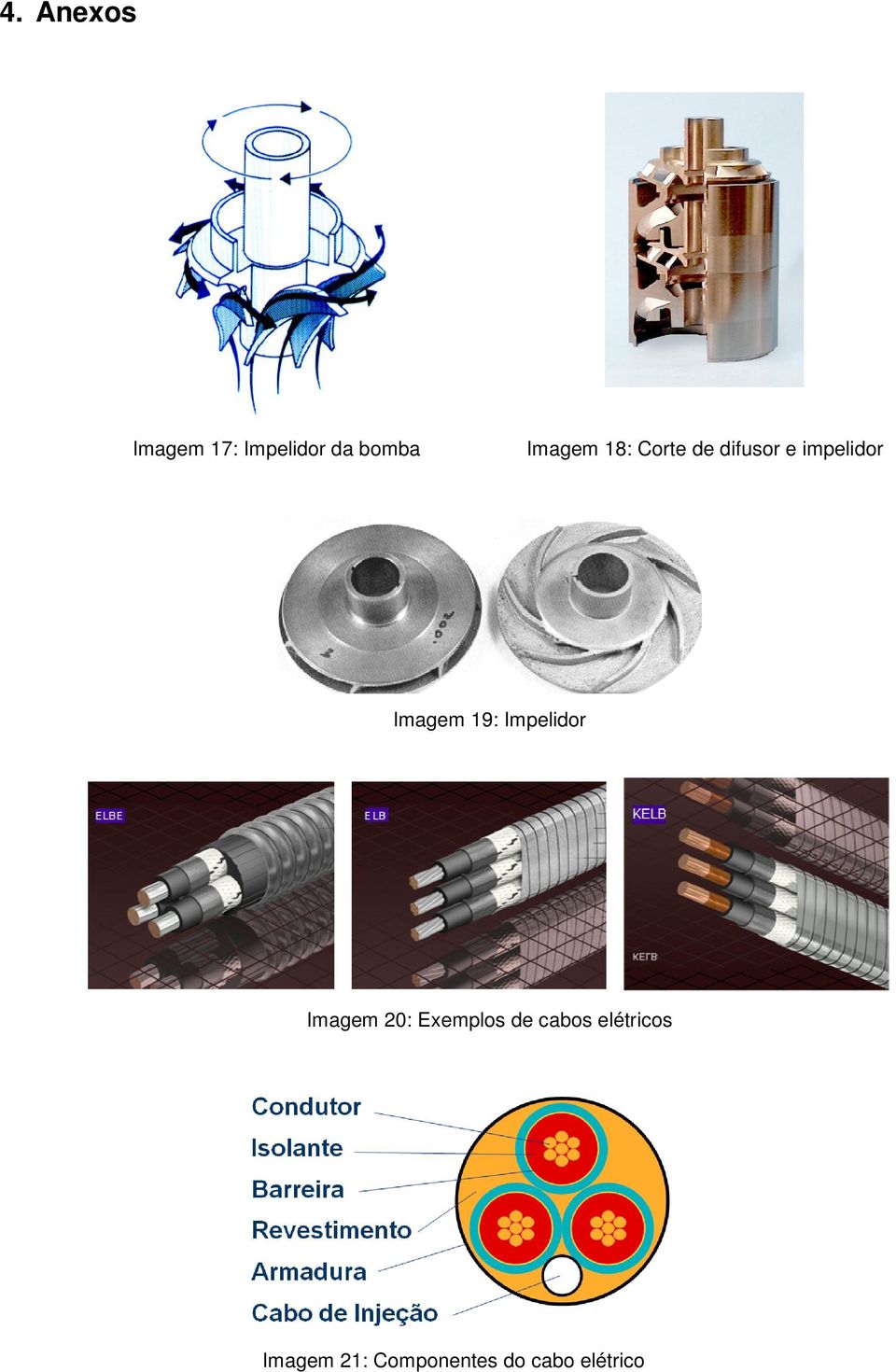 Imagem 19: Impelidor Imagem 20: Exemplos de