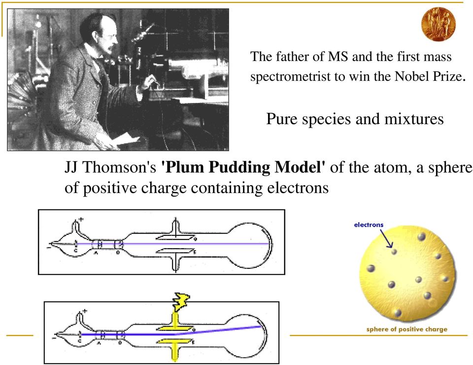 Pure species and mixtures JJ Thomson's 'Plum